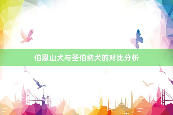 伯恩山犬与圣伯纳犬的对比分析