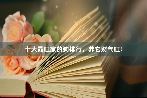 十大最旺家的狗排行，养它财气旺！