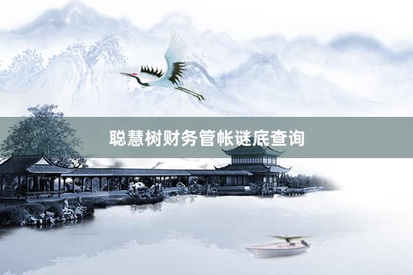聪慧树财务管帐谜底查询
